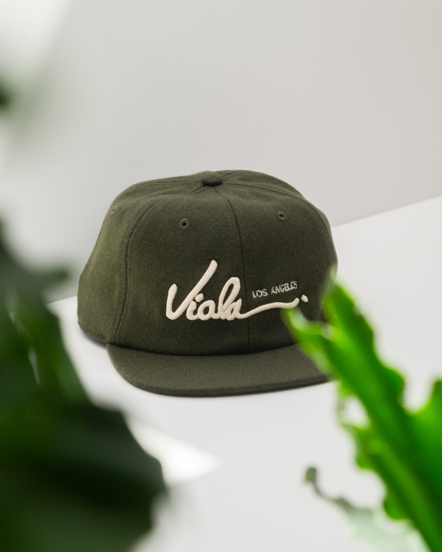 Letter Cap Ivy
