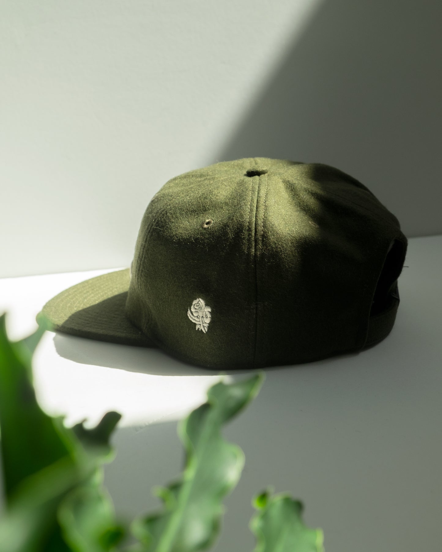 Letter Cap Ivy