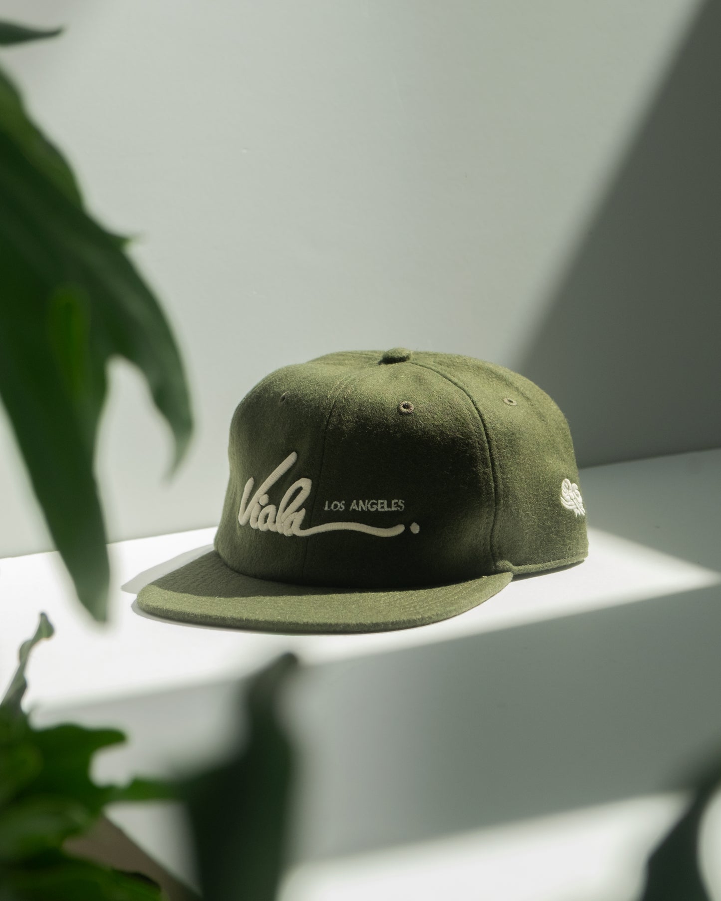 Letter Cap Ivy
