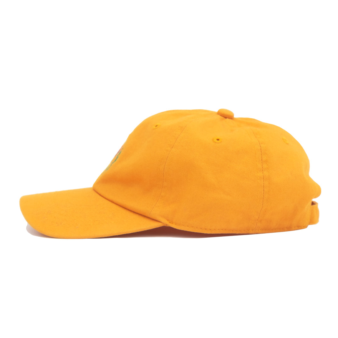 VR CAP DJION