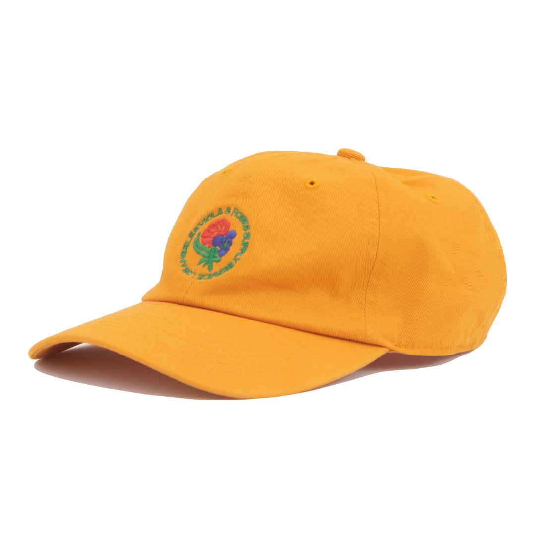 VR CAP DJION